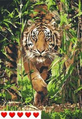 Картина за номерами Тигр 40 х 50 см Bambino 0020Т1