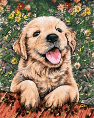 Картина по номерам Радостная собачка
