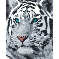 Картина по номерам Белый Тигр 40 х 50 см Bambino 0001Т1