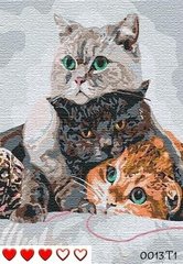 Картина за номерами Три кота 40 х 50 см Bambino 0013Т1
